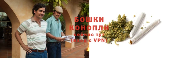 сатива Наволоки