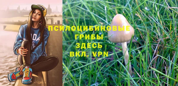 mix Абинск